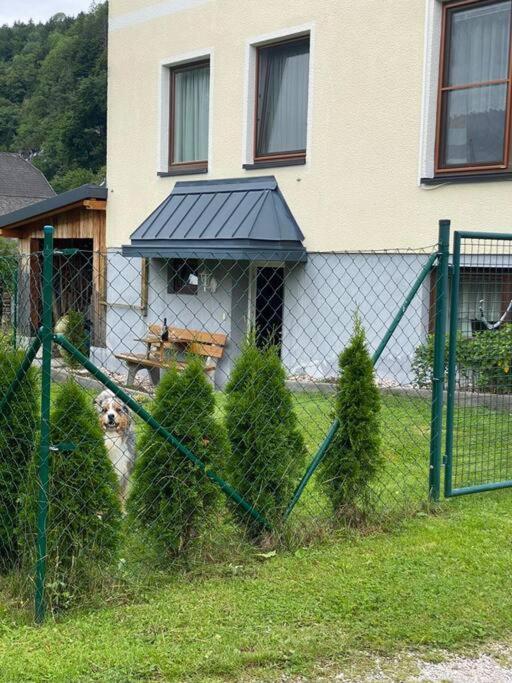 Gemuetliche Kleine Wohnung Mit Garten Unterburg  Экстерьер фото
