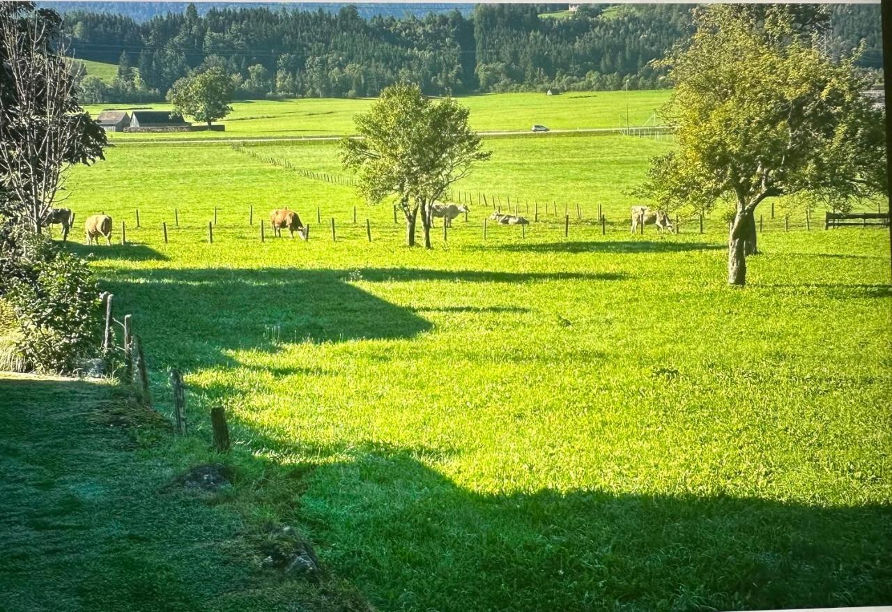 Gemuetliche Kleine Wohnung Mit Garten Unterburg  Экстерьер фото